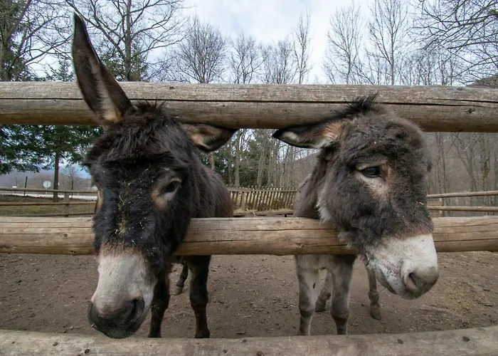 Hajducka Cesma Inn Dubovsko