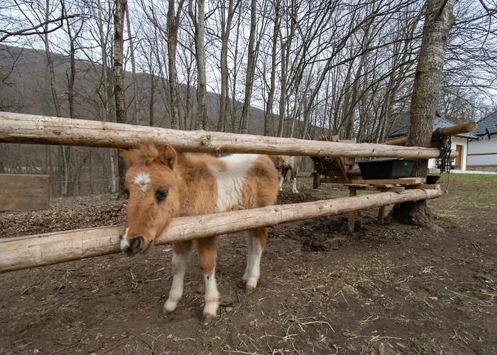 Hajducka Cesma Inn Dubovsko