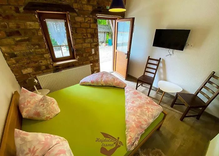 Hajducka Cesma Inn *
